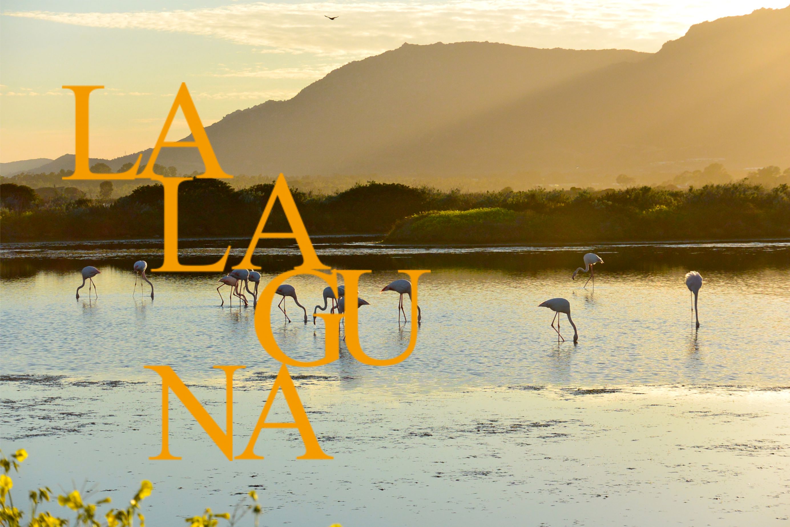 la_laguna_b
