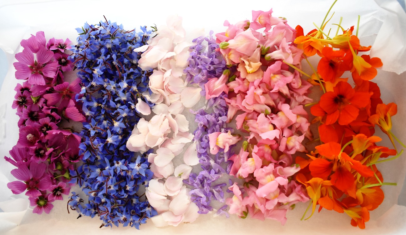 fiori